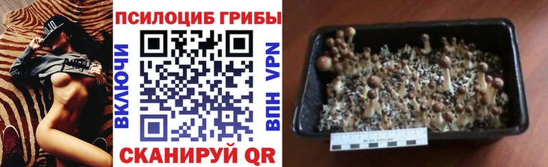 Галлюциногенные грибы MAGIC MUSHROOMS  Инза 